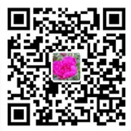 微信公众号